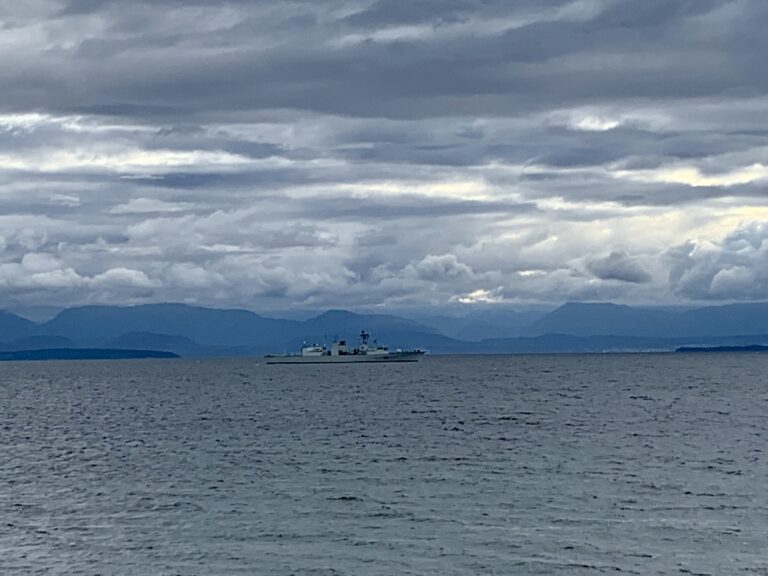 Army, navy perform beach assaults at Air Force Beach in Comox