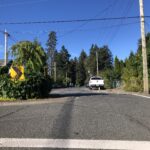 3rd Street Fitzgerald Traffic Circle-2