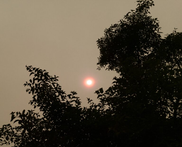 Wildfire Smokes Creates Hazy Conditions on Parts of Vancouver Island