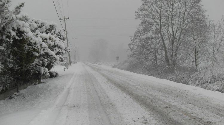 Widespread snowfall expected next week for Vancouver Island and Sunshine Coast