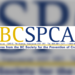 BC SPCA