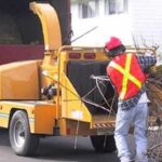 spring_chipping-1.17431255